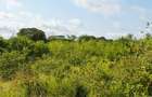 Land at Shanzu - 9