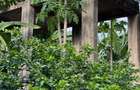 8,093.72 m² Land at Mtwapa - Mtepeni - 2