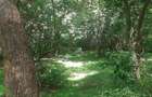 0.75 ac Residential Land at Naivasha Road - 8