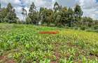 0.05 ha Commercial Land in Rironi - 9