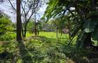 5 Bed House with Staff Quarters in Riverside - 7