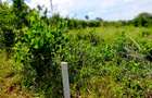 506 m² Land at Mavueni - Mariakani Bypass - 4