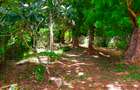 16,187.44 m² Land at Kilifi Bofa Beach Road - 4