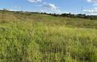 Land in Juja - 6