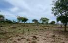2 ac Land in Bofa - 13