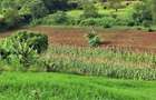 1 ac Residential Land at Tigoni - 3