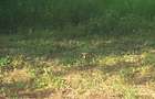 1.2 ac Land in Ngong - 5