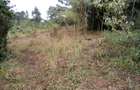 Land at Wangige - 3