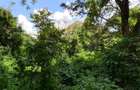 Commercial Land in Kitisuru - 4