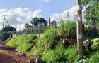 1.5 ac Land at Kiambu - 6