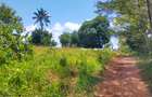 Land at Mtwapa Mtepeni - 7