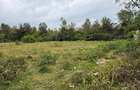 Land at Matasia - 1