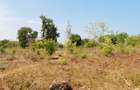 Land at Vipingo - 16