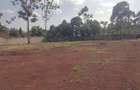 Residential Land at Runda - 8