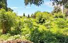 Land at Diani Beach Rd - 11