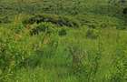 500 ac Land at Makuyu - 2