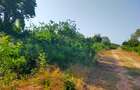 Land in Vipingo - 7