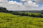 0.5 ac Land at Riara Ridge Tigoni - 2