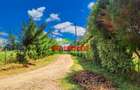 0.05 ha Residential Land at Ondiri - 1
