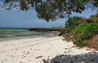 Land at Kikambala Beach - 2