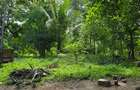 20 ac Land at Mtwapa - 20