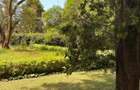 Residential Land in Karen - 3