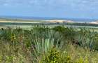 Land in Vipingo - 1