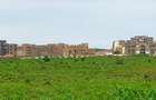 Land at Utalii - Vipingo - 11