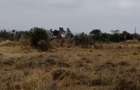 0.10 ac Residential Land at Kitengela Milimani - 10