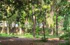 1 ac Land at Kikambala - 7