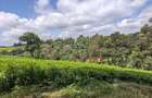 Land at Tigoni - 3