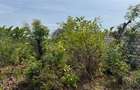 Land in Kilifi - 7