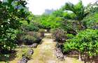4 Bed House with En Suite at Kuruwitu Beach - 10