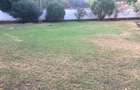 6 Bed House with En Suite at Nyali Beach - 8