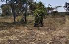 Residential Land at Merisho Road - 1