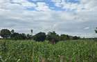 6 ac Land at Bomani - 7