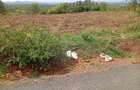 0.045 ha Land in Murang'a County - 1