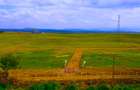Residential Land in Naivasha - 3
