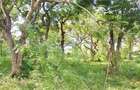 Land at Shanzu Serena - 18