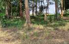 Residential Land at Karen The Hip Road - 5