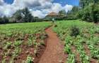 1 ac Residential Land in Runda - 1