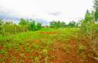 0.05 ha Residential Land at Thigio - 1