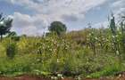 0.5 ac Land in Kitisuru - 3