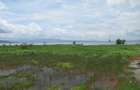 Land at Moi South L Ake Rd - 1