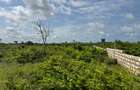 Land in Watamu - 15