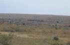 Land in Konza City - 3