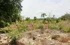 Land at Vipingo - 5