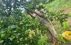 Land in Kilifi - 1