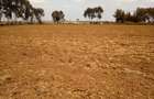 Land at Timau - 4