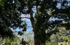 3 Bed Villa with En Suite at Kilifi Creek - 15